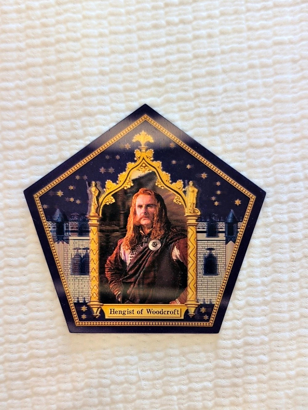Harry Potter Hengist of Woodcroft Chocolate Frog card Wizarding World